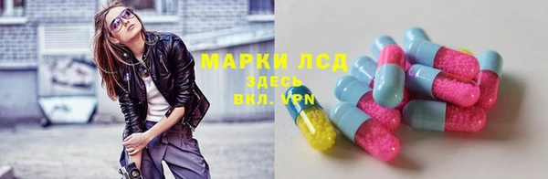 стафф Заволжск