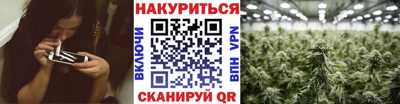 Шишки марихуана SATIVA & INDICA  что такое наркотик  Иланский 